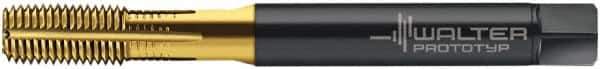 Walter-Prototyp - 1/4-20 UNC 2B Modified Bottoming Thread Forming Tap - Cobalt, TiN Finish, 80.01mm OAL, 15.01mm Thread Length, Right Hand Thread, Series ACP2261745 - Apex Tool & Supply