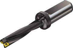 Sandvik Coromant - 88.4mm Max Drill Depth, 5xD, 17mm Diam, Indexable Insert Drill - 2 Inserts, 20mm Shank Diam, Straight Shank - Apex Tool & Supply