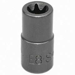 SK - Hand Socket - Apex Tool & Supply