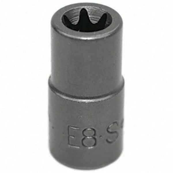 SK - Hand Socket - Apex Tool & Supply