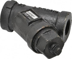 Legend Valve - 1/2" Pipe, FNPT Ends, Cast Iron Y-Strainer - 500 psi WOG Rating, 250 psi WSP Rating - Apex Tool & Supply