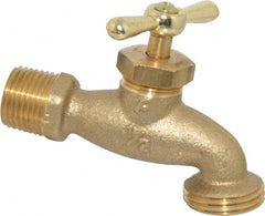 Legend Valve - 1/2 Inch Pipe, 125 psi WOG Rating, Brass Hose Bibb, Stop Valve - Apex Tool & Supply