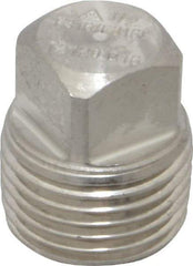 Merit Brass - 1/2" Grade 316/316L Stainless Steel Pipe Square Head Plug - MNPT End Connections, 3,000 psi - Apex Tool & Supply