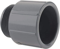 Value Collection - 1-1/4" CPVC Plastic Pipe Male Adapter - Schedule 80, MIPT x Slip End Connections - Apex Tool & Supply