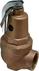 Conbraco - 1" Inlet, 1-1/4" Outlet, ASME Section IV Safety Relief Valve - 30 Max psi, Bronze, 1,570,000 BTUs - Apex Tool & Supply