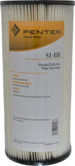 Pentair - 4-1/2" OD, 20µ, Resin Cellulose Pleated Cartridge Filter - 9-3/4" Long, Reduces Sediments - Apex Tool & Supply