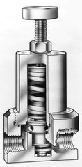 Simtech - 3/4" Inlet, Thermoplastic Relief Valve - 125 Max psi, PVC & EPDM - Apex Tool & Supply