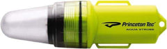 Princeton Tec - White LED Bulb, 100 Lumens, Industrial/Tactical Flashlight - Neon Yellow Plastic Body, 1 AA Alkaline Battery Included - Apex Tool & Supply