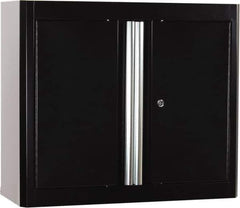 Sandusky Lee - 2 Shelf Wall Storage Cabinet - Steel, 30" Wide x 12" Deep x 36" High, Black - Apex Tool & Supply