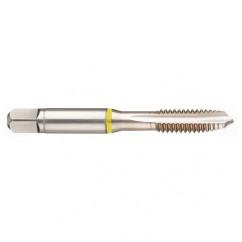 M18x2.5 6H 4-Flute Cobalt Yellow Ring Spiral Point Plug Tap-Bright - Apex Tool & Supply