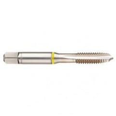 40002 2B 4-Flute Cobalt Yellow Ring Spiral Point Plug Tap-Bright - Apex Tool & Supply