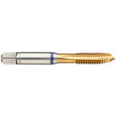 ‎8-36 3FL 2B PM Cobalt Spiral Point Plug Blue Ring Tap-TiN - Apex Tool & Supply