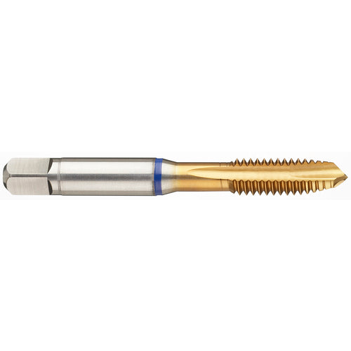 ‎6-40 3FL 2B PM Cobalt Spiral Point Plug Blue Ring Tap-TiN - Apex Tool & Supply