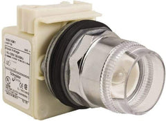 Schneider Electric - 30mm Mount Hole, Extended Straight, Pushbutton Switch Only - Round, Momentary (MO), Weatherproof, Dust and Oil Resistant - Apex Tool & Supply