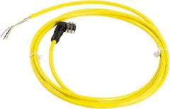 Telemecanique Sensors - 4 Amp, 1/2-20 UNF 3 Pin Elbowed Female Cordset Sensor and Receptacle - 250 VAC, 300 VDC, 2m Cable Length, IP67 Ingress Rating - Apex Tool & Supply