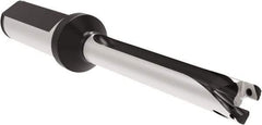Allied Machine and Engineering - Series 12, 12 to 12.99mm Diam, 20mm Diam Straight Shank with Flange, Straight Flute Spade Drill - 129.9mm Max Depth, 209.7mm OAL, Long Length, Through Coolant - Apex Tool & Supply