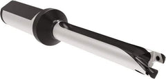 Allied Machine and Engineering - Series 12, 12 to 12.99mm Diam, 3/4" Diam Straight Shank with Flange, Straight Flute Spade Drill - 5.1142" Max Depth, 6.199" Body Length, 8-5/16" OAL, Long Length, Through Coolant - Apex Tool & Supply