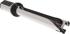Allied Machine and Engineering - Series 20, 20 to 21.99mm Diam, 25mm Diam Straight Shank with Flange, Straight Flute Spade Drill - 153.9mm Max Depth, 246.9mm OAL, Standard Length, Through Coolant - Apex Tool & Supply