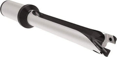 Allied Machine and Engineering - Series 20, 20 to 21.99mm Diam, 25mm Diam Straight Shank with Flange, Straight Flute Spade Drill - 153.9mm Max Depth, 246.9mm OAL, Standard Length, Through Coolant - Apex Tool & Supply