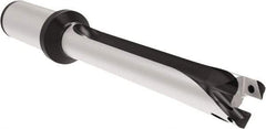 Allied Machine and Engineering - Series 20, 20 to 21.99mm Diam, 1" Diam Straight Shank with Flange, Straight Flute Spade Drill - 8-21/32" Max Depth, 12.4" OAL, Long Length, Through Coolant - Apex Tool & Supply