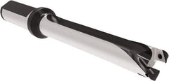 Allied Machine and Engineering - Series 17, 17 to 17.99mm Diam, 20mm Diam Straight Shank with Flange, Straight Flute Spade Drill - 179.9mm Max Depth, 262.8mm OAL, Long Length, Through Coolant - Apex Tool & Supply