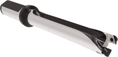 Allied Machine and Engineering - Series 16, 16 to 16.99mm Diam, 20mm Diam Straight Shank with Flange, Straight Flute Spade Drill - 169.9mm Max Depth, 253.1mm OAL, Long Length, Through Coolant - Apex Tool & Supply