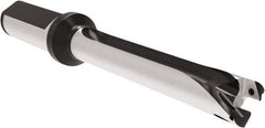 Allied Machine and Engineering - Series 15, 15 to 15.99mm Diam, 20mm Diam Straight Shank with Flange, Straight Flute Spade Drill - 111.9mm Max Depth, 191.5mm OAL, Standard Length, Through Coolant - Apex Tool & Supply