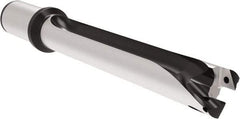 Allied Machine and Engineering - Series 29, 29 to 31.99mm Diam, 32mm Diam Straight Shank with Flange, Straight Flute Spade Drill - 223.9mm Max Depth, 327.6mm OAL, Standard Length, Through Coolant - Apex Tool & Supply