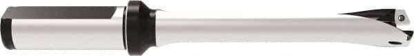 Allied Machine and Engineering - Series 17, 17 to 17.99mm Diam, 20mm Diam Straight Shank with Flange, Straight Flute Spade Drill - 89.9mm Max Depth, 172.9mm OAL, Standard Length, Through Coolant - Apex Tool & Supply