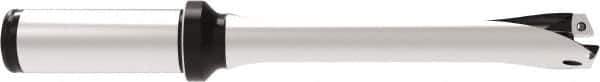 Allied Machine and Engineering - Series 17, 17 to 17.99mm Diam, 20mm Diam Straight Shank with Flange, Straight Flute Spade Drill - 54mm Max Depth, 136.9mm OAL, Standard Length, Through Coolant - Apex Tool & Supply