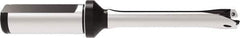 Allied Machine and Engineering - Series 13, 13 to 13.99mm Diam, 3/4" Diam Straight Shank with Flange, Straight Flute Spade Drill - 2-49/64" Max Depth, 5-15/16" OAL, Standard Length, Through Coolant - Apex Tool & Supply