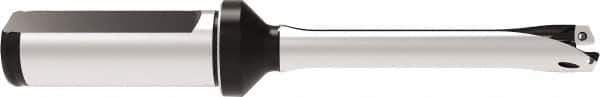 Allied Machine and Engineering - Series 12, 12 to 12.99mm Diam, 20mm Diam Straight Shank with Flange, Straight Flute Spade Drill - 39mm Max Depth, 118.7mm OAL, Standard Length, Through Coolant - Apex Tool & Supply