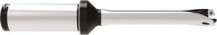 Allied Machine and Engineering - Series 12, 12 to 12.99mm Diam, 20mm Diam Straight Shank with Flange, Straight Flute Spade Drill - 39mm Max Depth, 118.7mm OAL, Standard Length, Through Coolant - Apex Tool & Supply