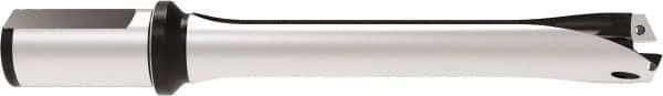 Allied Machine and Engineering - Series 29, 29 to 31.99mm Diam, 32mm Diam Straight Shank with Flange, Straight Flute Spade Drill - 159.9mm Max Depth, 263.7mm OAL, Standard Length, Through Coolant - Apex Tool & Supply