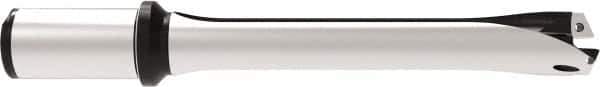 Allied Machine and Engineering - Series 29, 29 to 31.99mm Diam, 32mm Diam Straight Shank with Flange, Straight Flute Spade Drill - 159.9mm Max Depth, 263.7mm OAL, Standard Length, Through Coolant - Apex Tool & Supply