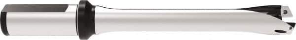 Allied Machine and Engineering - Series 24, 24 to 25.99mm Diam, 25mm Diam Straight Shank with Flange, Straight Flute Spade Drill - 78mm Max Depth, 172.8mm OAL, Standard Length, Through Coolant - Apex Tool & Supply