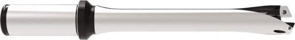 Allied Machine and Engineering - Series 24, 24 to 25.99mm Diam, 25mm Diam Straight Shank with Flange, Straight Flute Spade Drill - 129.9mm Max Depth, 224.7mm OAL, Standard Length, Through Coolant - Apex Tool & Supply