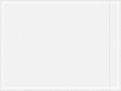 Value Collection - 1,000 Piece, 4-1/2" Long x 6" Wide, Packing List Envelope - Unprinted, Clear - Apex Tool & Supply