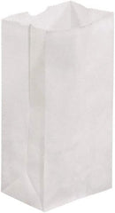 Made in USA - Kraft Grocery Bag - 3-1/2 x 2-3/8 x 6-7/8, White - Apex Tool & Supply