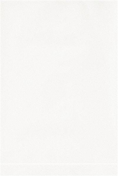 Value Collection - 4 x 6", 2 mil Flat Polybags - White - Apex Tool & Supply