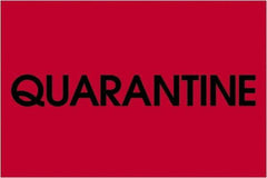 Tape Logic - 3" Long, Fluorescent Red Paper Inventory Labels - For Multi-Use - Apex Tool & Supply