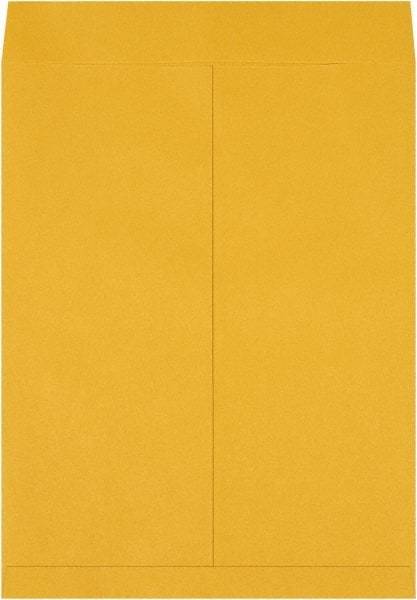 Made in USA - 22" Long x 17" Wide Regular Jumbo Envelope - Kraft - Apex Tool & Supply