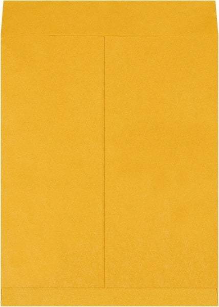 Made in USA - 20" Long x 16" Wide Regular Jumbo Envelope - Kraft - Apex Tool & Supply