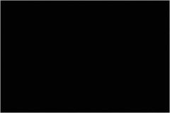 Tape Logic - 6" Long, Black Paper Inventory Labels - For Multi-Use - Apex Tool & Supply