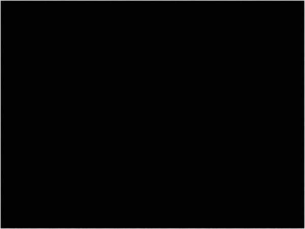 Tape Logic - 4" Long, Black Paper Inventory Labels - For Multi-Use - Apex Tool & Supply