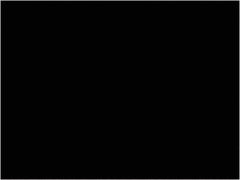 Tape Logic - 4" Long, Black Paper Inventory Labels - For Multi-Use - Apex Tool & Supply