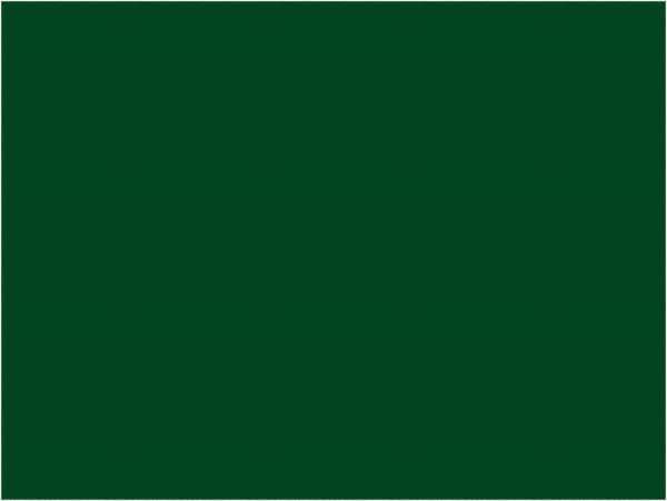 Tape Logic - 4" Long, Green Paper Inventory Labels - For Multi-Use - Apex Tool & Supply