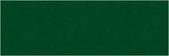Tape Logic - 9" Long, Green Paper Inventory Labels - For Multi-Use - Apex Tool & Supply