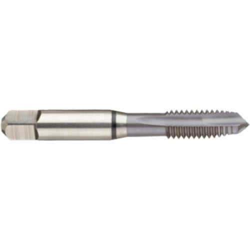 M6 × 1.0 3FL 6H Cobalt Spiral Point Plug Black Ring Tap-MolyGlide - Apex Tool & Supply