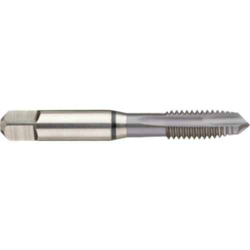 ‎12-24 3FL 2B Cobalt Spiral Point Plug Black Ring Tap-MolyGlide - Apex Tool & Supply